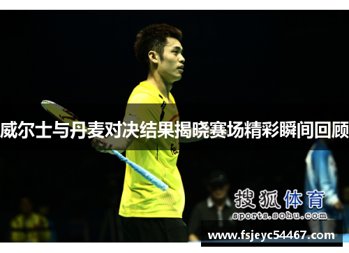 威尔士与丹麦对决结果揭晓赛场精彩瞬间回顾