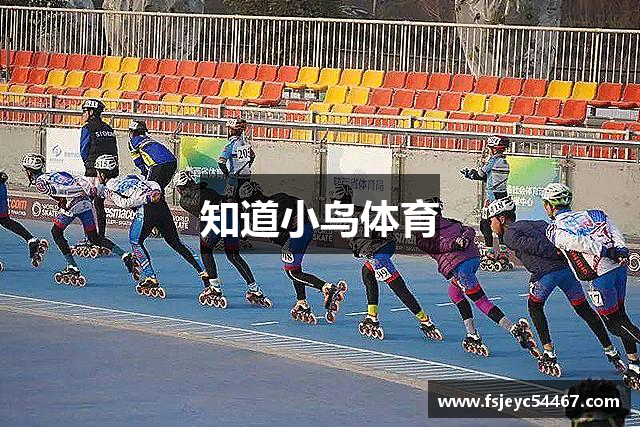 知道小鸟体育